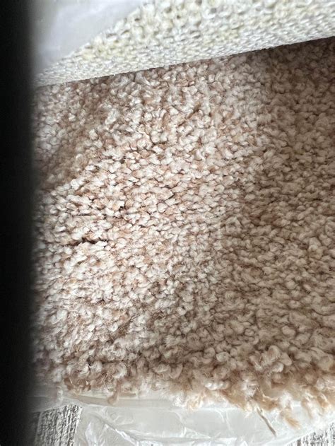 cheap area rugs dayton ohio